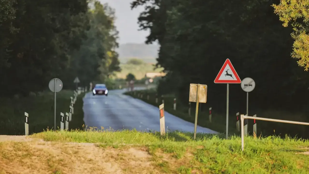Znak ostrzegawczy przed dzikimi zwierzętami na drodze, gdzie samochód włącza się do ruchu.