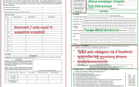 Wniosek o wydanie prawa jazdy. Czy za PKK się płaci? Wypełnia urzędnik. Tylko gdy ubiegasz się o wydanie wtórnika lub wymianę prawa jazdy/pozwolenia.