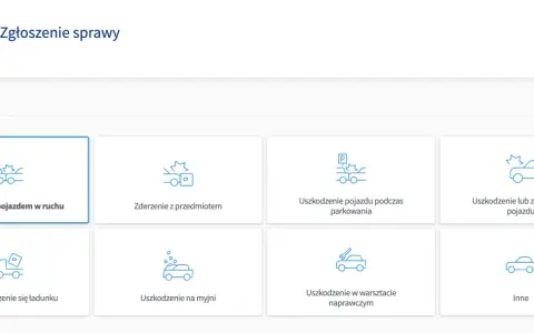 Wybierz przyczynę szkody, aby zgłosić ją w PZU. Sprawdź, ile czasu na zgłoszenie szkody PZU masz w swojej sytuacji.
