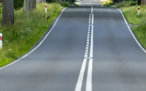 Droga z podwójną białą linią, która jest linia jednostronnie przekraczalna. Po bokach zieleń i drzewa.