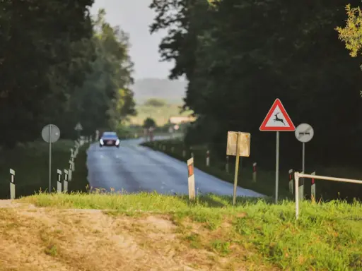 Znak ostrzegawczy przed dzikimi zwierzętami na drodze, gdzie samochód włącza się do ruchu.