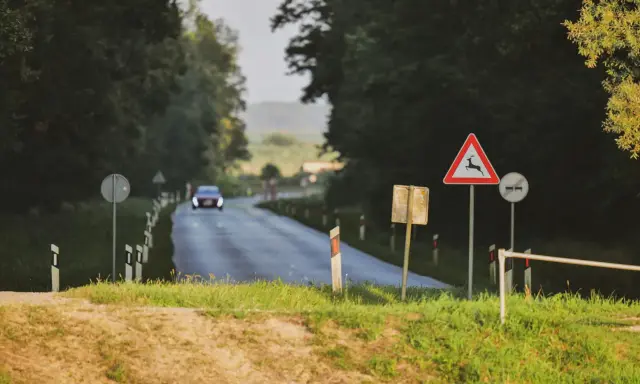 Znak ostrzegawczy przed dzikimi zwierzętami na drodze, gdzie samochód włącza się do ruchu.