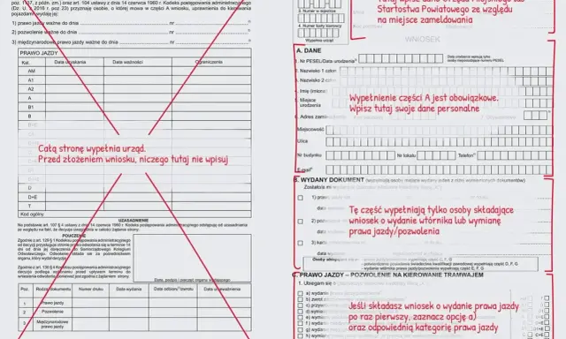 Formularz wniosku o wydanie prawa jazdy. Wypełnij go, jeśli składasz wniosek o wydanie prawa jazdy po raz pierwszy lub o odpowiednią kategorię.