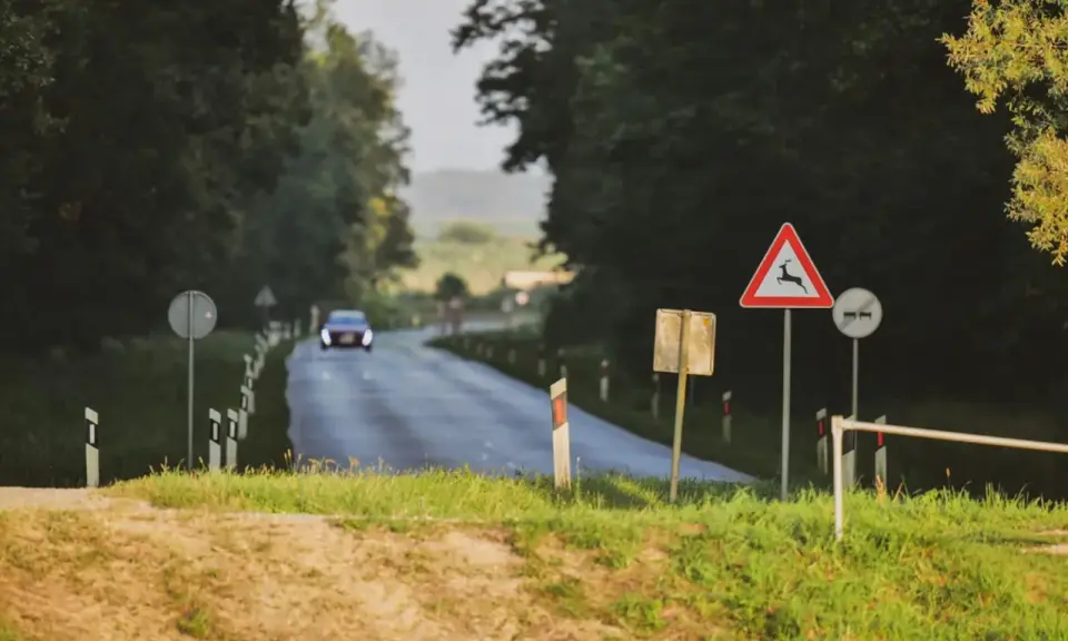 Znak ostrzegawczy przed dzikimi zwierzętami na drodze, gdzie samochód włącza się do ruchu.